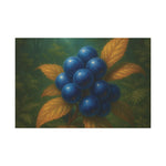 Aurivine  fruit Limited Premium Edition