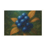 Aurivine  fruit Limited Premium Edition