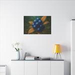 Aurivine  fruit Limited Premium Edition