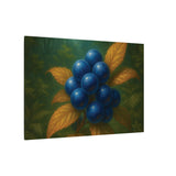 Aurivine  fruit Limited Premium Edition