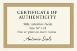 Astralion Fields – Premium Edition