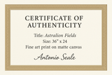 Astralion Fields – Premium Edition